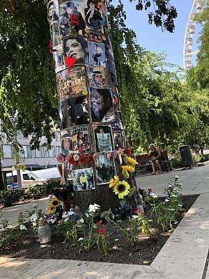 Pamětní strom Michaela Jacksona.