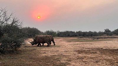 Jihoafrická republika z Kapského Města po Port Elizabeth