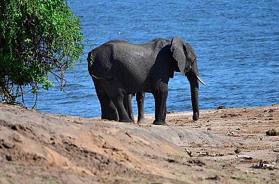 Jihoafrická republika z Kapského Města po Port Elizabeth