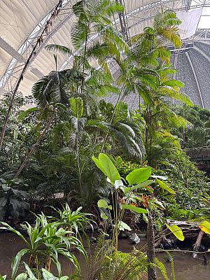 Tropical Island – koupání v tropickém „moři“ a relax na písčité pláži