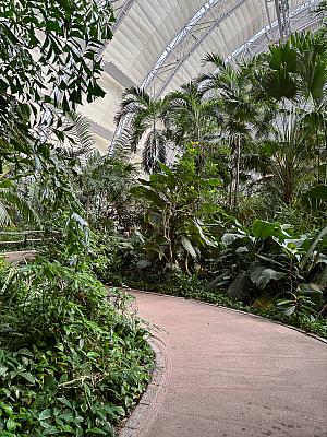 Tropical Island – koupání v tropickém „moři“ a relax na písčité pláži