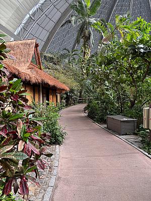 Tropical Island – koupání v tropickém „moři“ a relax na písčité pláži