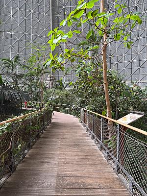 Tropical Island – koupání v tropickém „moři“ a relax na písčité pláži