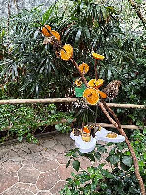 Tropical Island – koupání v tropickém „moři“ a relax na písčité pláži